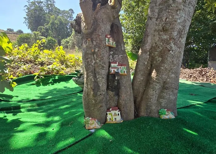 Antonia Rural House Tacoronte